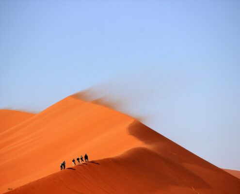 Wat levert een lerende organisatie op?