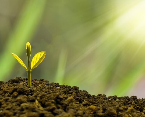 Authentiek leiderschap. Je eigen tegenmacht organiseren door jezelf beter te kennen