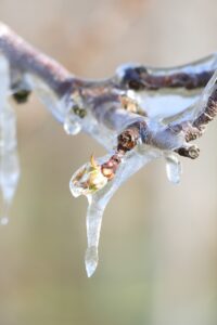 Vertrouwen en de lerende organisatie